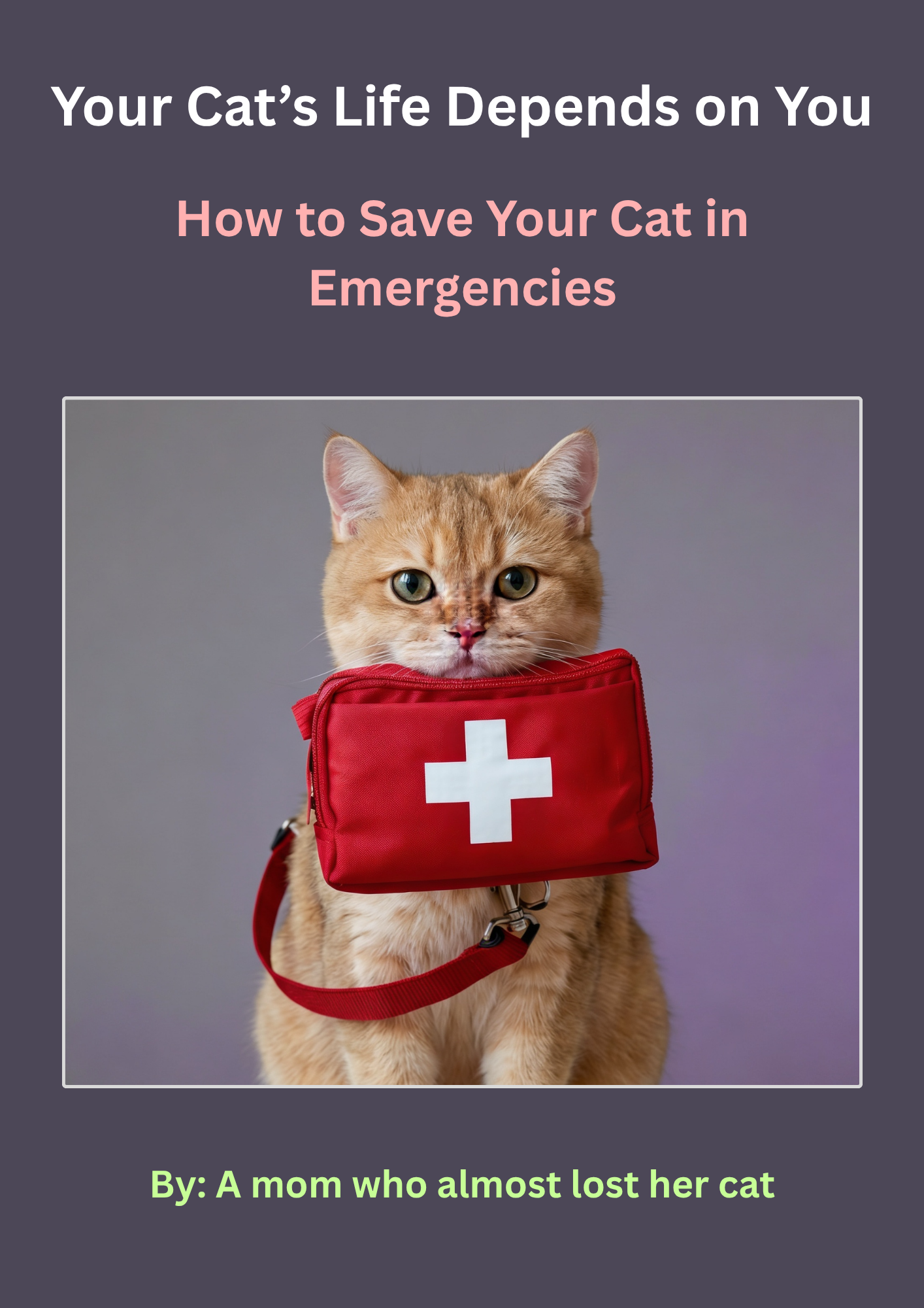 Your Cats Life Depends on You